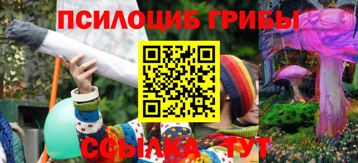 Псилоцибиновые грибы Psilocybe Михайловка