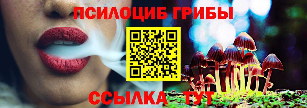 Галлюциногенные грибы ЛСД  Вход с VPN  Михайловка 
